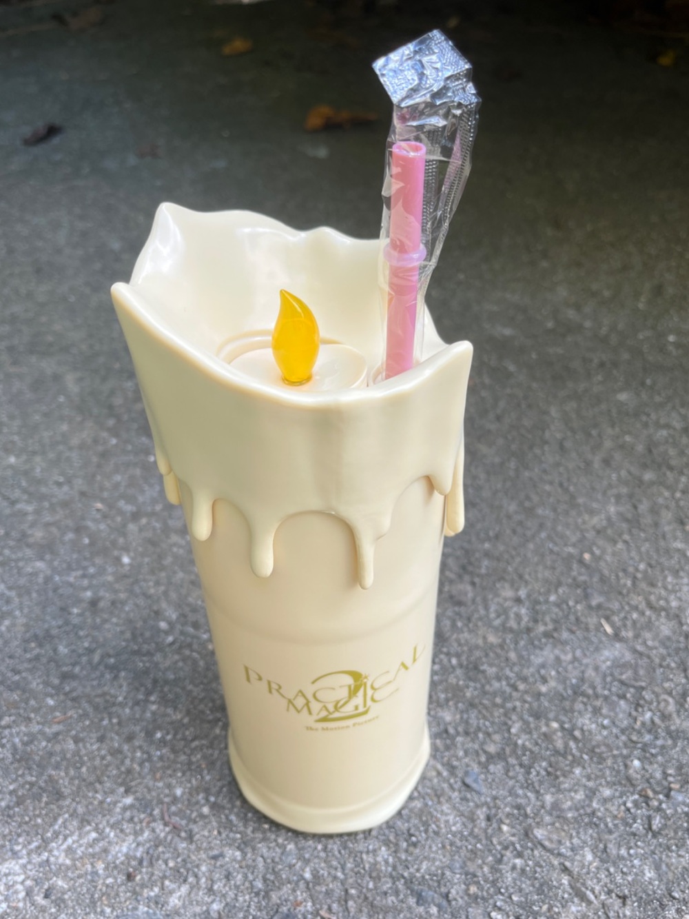 Practical Magic 2 Movie Candle Cup Drink Tumbler